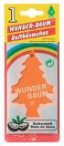 Wunderbaum Kokosnuß - kokos